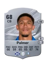 Palmer - 68 - Rare