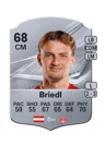 Briedl - 68 - Rare