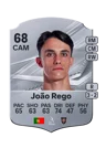 João Rego - 68 - Rare