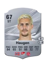 Haugen - 67 - Rare