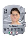 Pellizzari - 67 - Rare