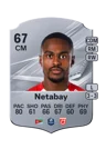 Netabay - 67 - Rare