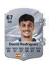 David Rodríguez - 67 - Rare