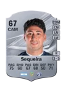 Sequeira - 67 - Rare