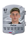 Pečar - 67 - Rare