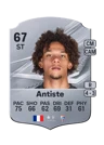Antiste - 67 - Rare