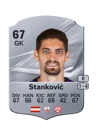 Stanković - 67 - Rare