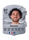 Ascone - 67 - Rare