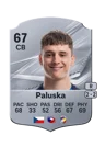 Paluska - 67 - Rare