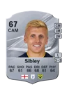 Sibley - 67 - Rare