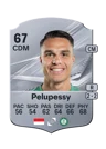Pelupessy - 67 - Rare