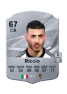 Riccio - 67 - Rare