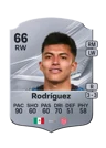 Rodríguez - 66 - Rare