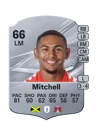 Mitchell - 66 - Rare