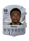 Pintor - 66 - Rare