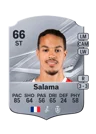 Salama - 66 - Rare