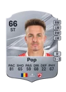 Pop - 66 - Rare