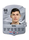 Silić - 66 - Rare