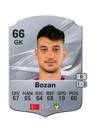 Bozan - 66 - Rare EA FC 27 card
