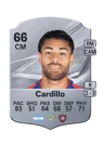Cardillo - 66 - Rare