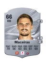Maceiras - 66 - Rare