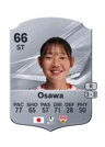 Osawa - 66 - Rare