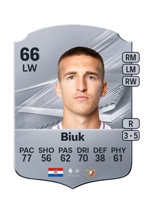 Biuk - 66 - Rare EA FC 27 card