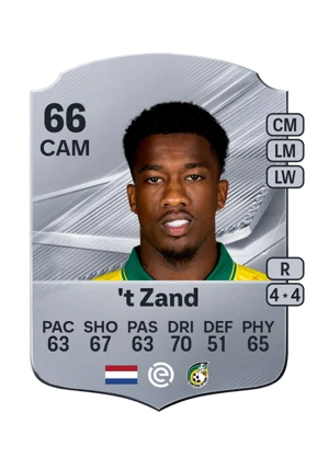 't Zand - 66 - Rare EA FC 27 card