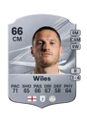 Wiles - 66 - Rare