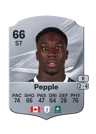 Pepple - 66 - Rare