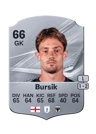 Bursik - 66 - Rare