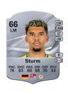 Sturm - 66 - Rare
