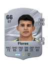 Flores - 66 - Rare