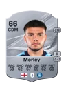 Morley - 66 - Rare