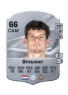 Brouwer - 66 - Rare