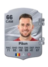 Păun - 66 - Rare