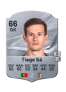 Tiago Sá - 66 - Rare