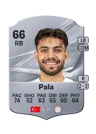 Pala - 66 - Rare