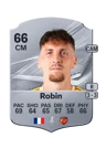 Robin - 66 - Rare