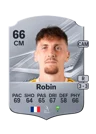 Robin - 66 - Rare