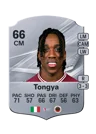 Tongya - 66 - Rare
