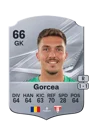Gorcea - 66 - Rare