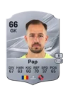 Pap - 66 - Rare
