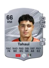 Tahaui - 66 - Rare