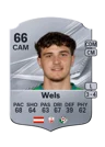 Wels - 66 - Rare