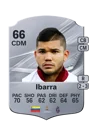 Ibarra - 66 - Rare