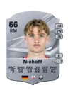 Niehoff - 66 - Rare