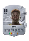 Sow - 66 - Rare