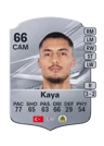 Kaya - 66 - Rare