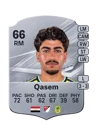 Qasem - 66 - Rare